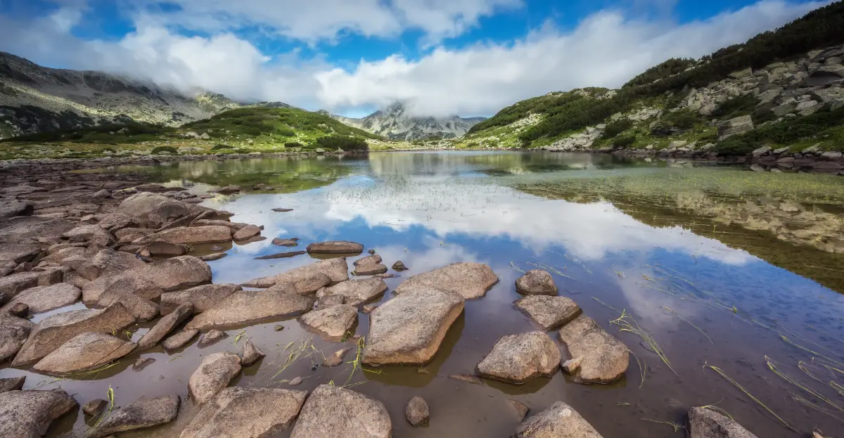 Safe Clean Water After Fuel Spill